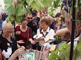 festa del uva 2007 125